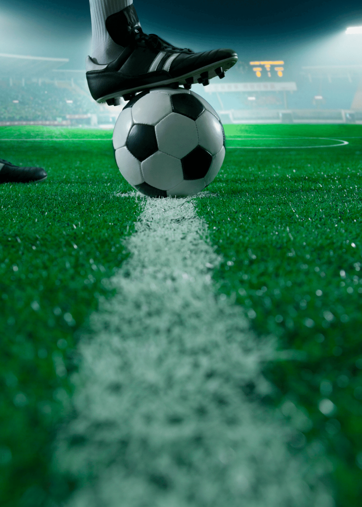 Best Soccer Balls Top Picks for Training and Matches